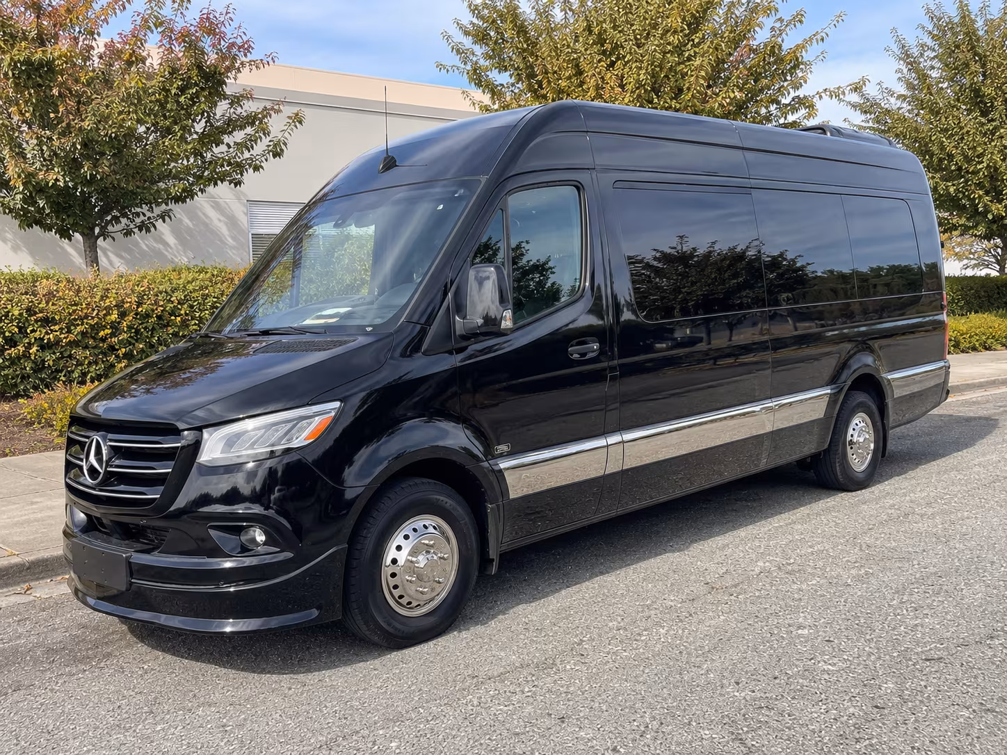 14 Passenger Sprinter Limo