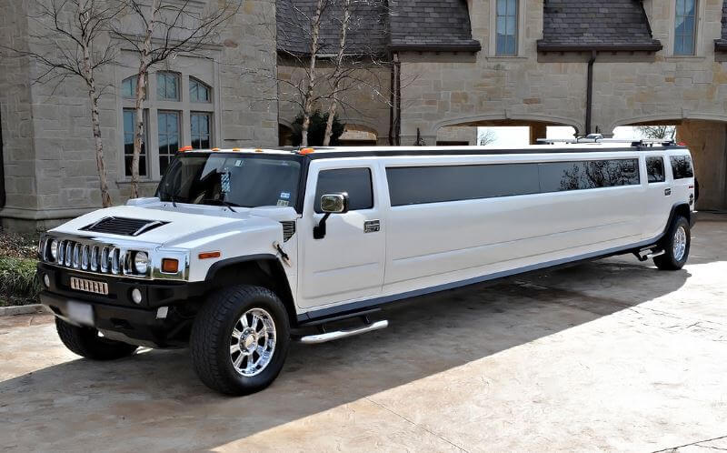 Chandler 20 Passenger Limo